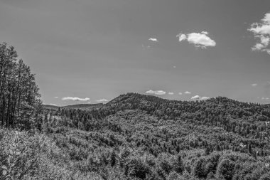 Gökyüzünün altındaki ağaçlar ve yeşilliklerle çevrili eski bir dağın gri tonlu görüntüsü.