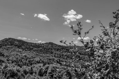 Dağların güzel manzarası