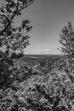 Alman kuzey denizindeki Juist Adası.