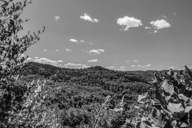 Siyah beyaz güzel bir manzara.