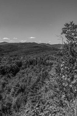 Karpatların büyük dağları. siyah ve beyaz.