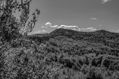 Dağ büyük Thach doğal park