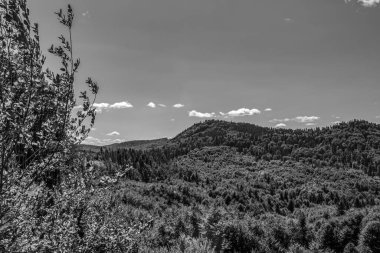 Dağların güzel manzarası