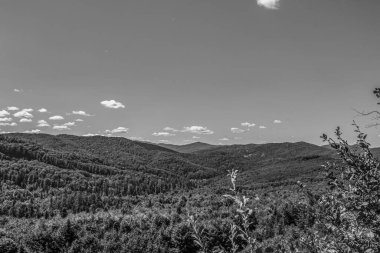 Yaz mevsiminde siyah ve beyaz dağların güzel manzarası