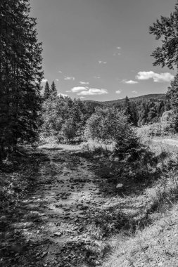 bir dağ manzarasının siyah beyaz fotoğrafı
