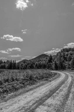 Kara Orman 'da kırsal alan