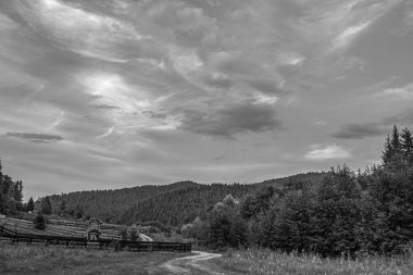 Ormanda dağları olan güzel bir manzara.