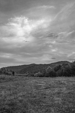 Bir orman ve bir tarlanın güzel siyah beyaz fotoğrafının dikey çekimi.