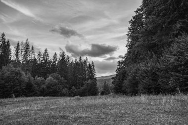 Dağları ve ormanı olan güzel bir manzara.