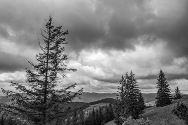 Bulutlu güzel dağ manzarası