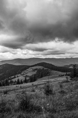 Karpat Dağlarının siyah ve beyaz manzarası
