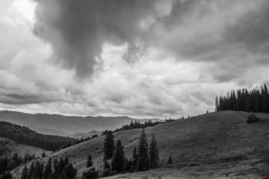 the beautiful landscape of the carpathian mountains