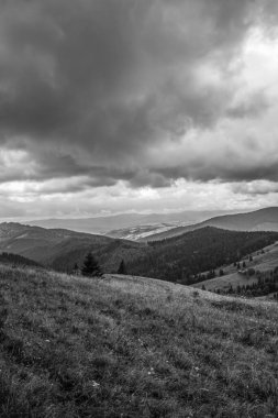siyah ve beyaz manzara. Karpat Dağları