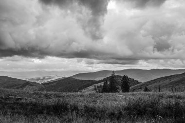 Karpatlar 'da bir orman manzarası üzerinde siyah ve beyaz bulutlar