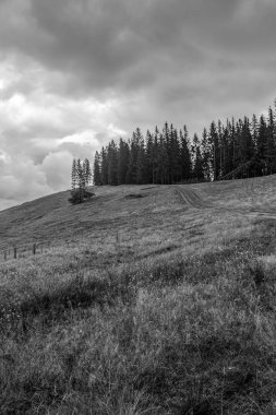 Dağların siyah beyaz görüntüsü