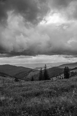 Dağlarda ağaçlar olan güzel bir manzara.