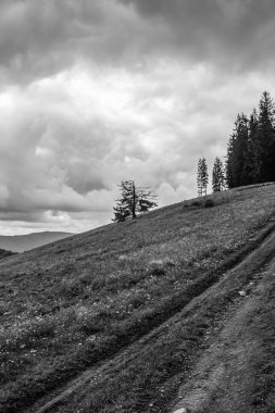 Karpatya dağlarındaki güzel bir dağ sırasının üzerinde siyah ve beyaz bulutlar