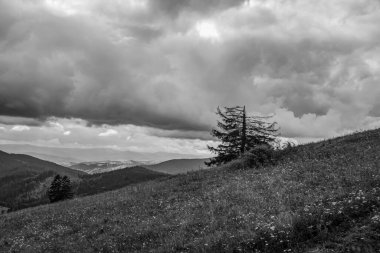 Dağları ve bulutları olan güzel bir manzara