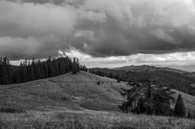 Dağlarda dağları olan güzel bir manzara.