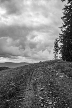 Bir orman yolu üzerinde siyah beyaz bulutlar