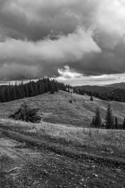 bir dağ yolunun siyah beyaz fotoğrafı
