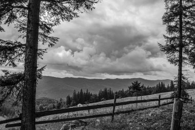 Dağların güzel manzarası