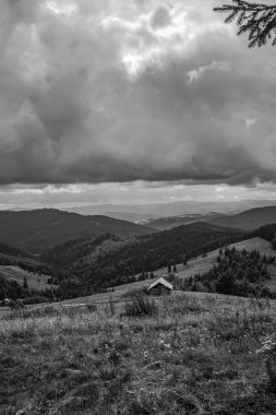 Gri tonlu, ağaçlı ve bulutlu gökyüzü olan bir dağın yakın çekimi.
