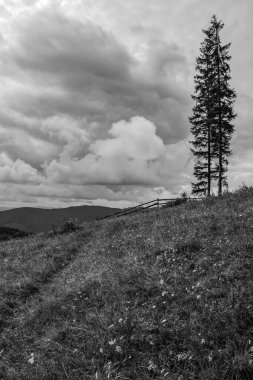 Dağların güzel manzarası