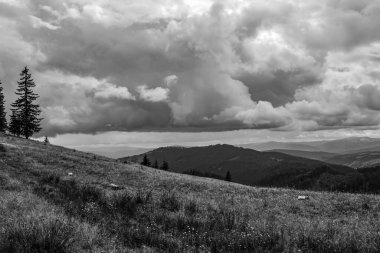 Karpatlar 'da siyah ve beyaz bulutlar. Ukrayna dağları. siyah beyaz fotoğraf.