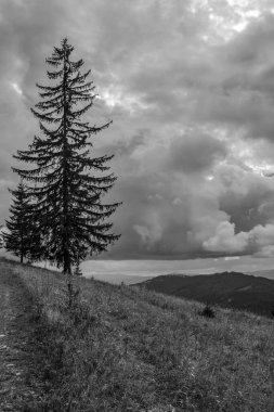 Dağların güzel manzarası