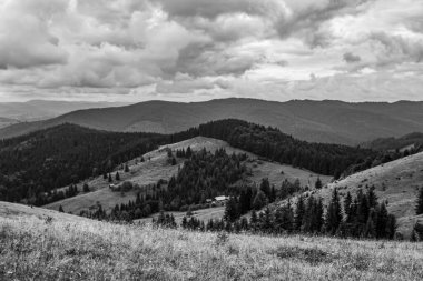 Yazın Karpat Dağları. Siyah ve beyaz. Güzel bir yaz manzarasının fotoğrafı..