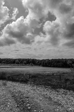 Ormanın üzerinde siyah ve beyaz bulutlar.