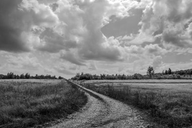 siyah ve beyaz manzara