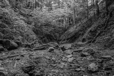 Şelalesi olan güzel bir manzara