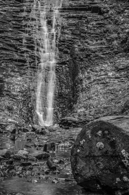 Siyah ve Beyaz Şelale