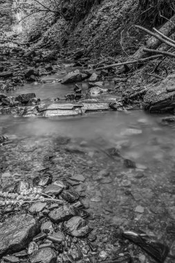 Kayaların arasından akan derenin gri tonlu bir görüntüsü ve bulutlu bir günde ormanda bir ağaç.