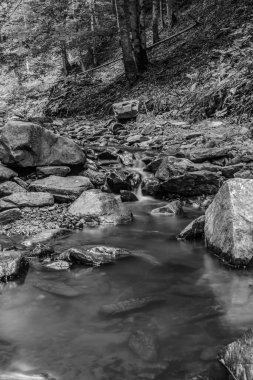 Ormandaki dağ deresiyle doğa manzarası çok güzel..