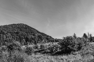 Dağların siyah beyaz fotoğrafı