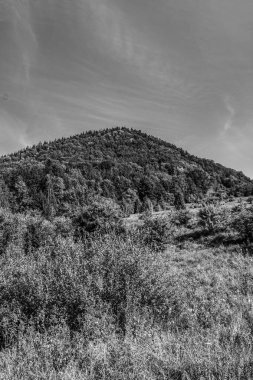 Doğal manzaranın güzel manzarası