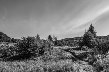 siyah ve beyaz dağ manzarası