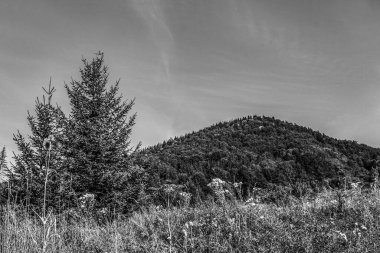 Slovakya 'da siyah ve beyaz manzara