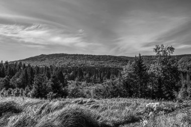 Arkasında bir dağ olan güzel bir manzara.