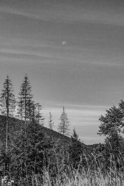 Dağların güzel manzarası