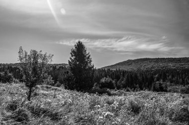 Adigea 'daki büyük thach doğal parkının sıradağları.