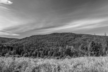 Arkasında ağaçlar olan dağların gri tonlu bir görüntüsü.