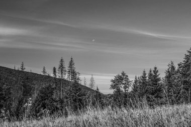 Dağların güzel manzarası