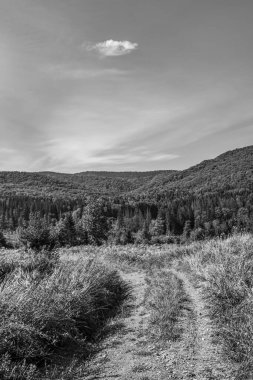 Arka planda dağ yolu olan güzel bir manzara.