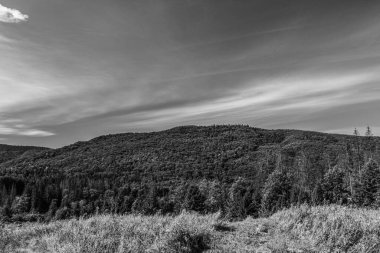 Güzel dağ manzara arka plan