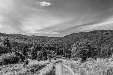 bir dağ manzarasının siyah ve beyaz görüntüsü