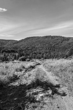 İspanya 'da gökyüzünün altında yeşilliklerle çevrili güzel gri tonda bir yol.